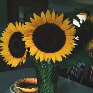 Meet your Posher, Nina